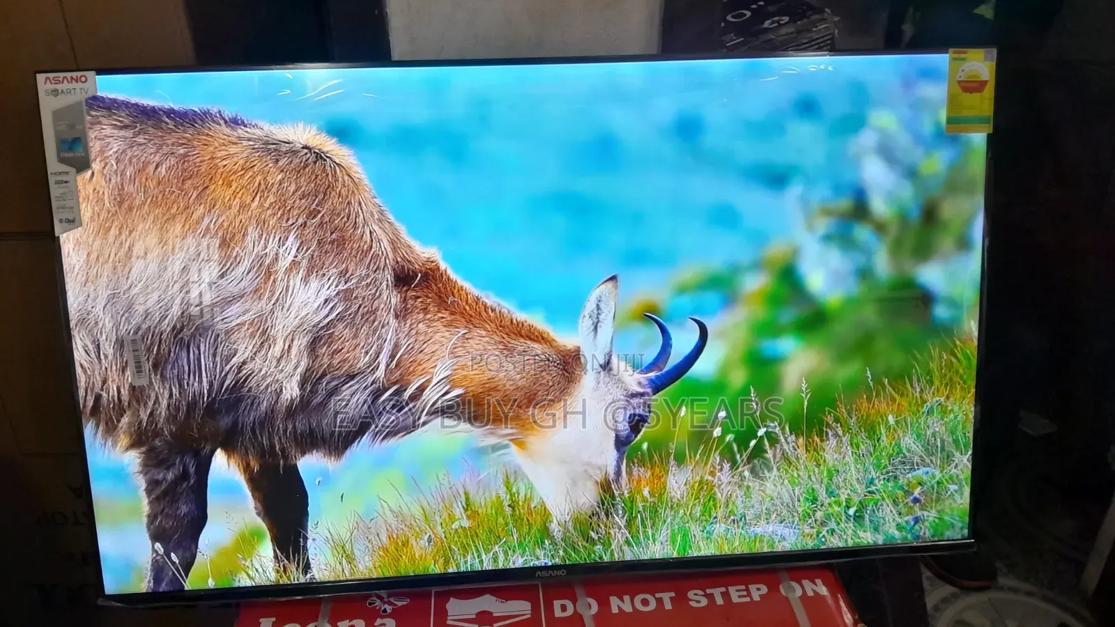 Feel Every Scene With Ansano 50” Display
