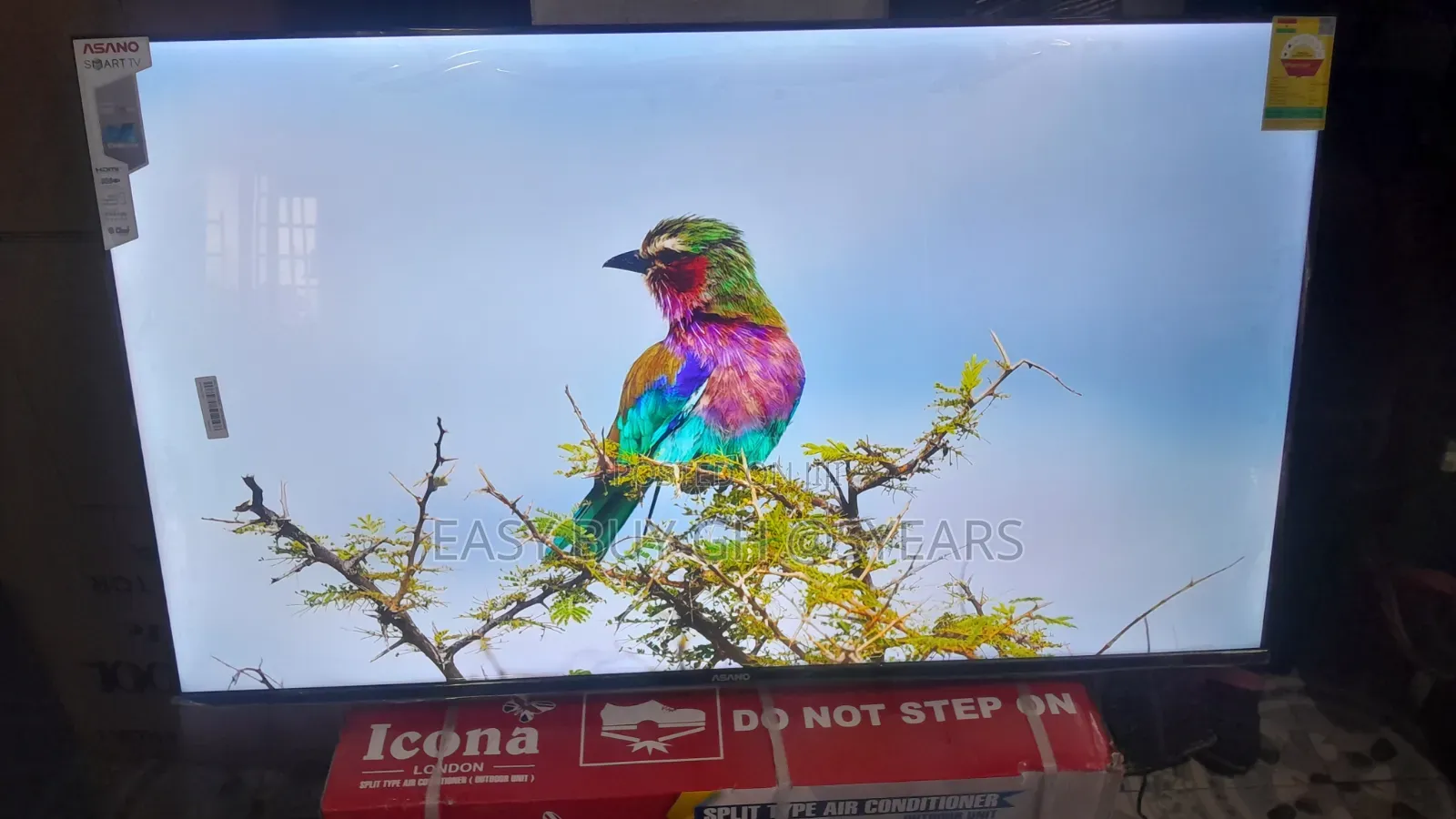 Sharp, Smart, Stunning – Ansano 50” Tv