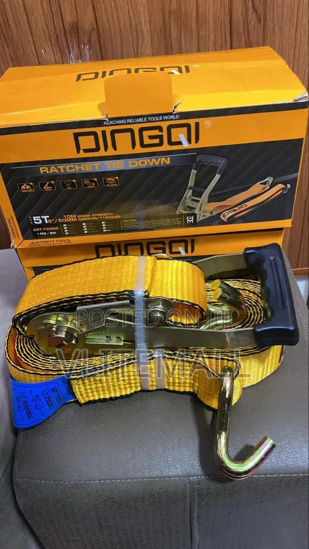 Dingqi Brand Ratchet Tie Down Art:72005.
