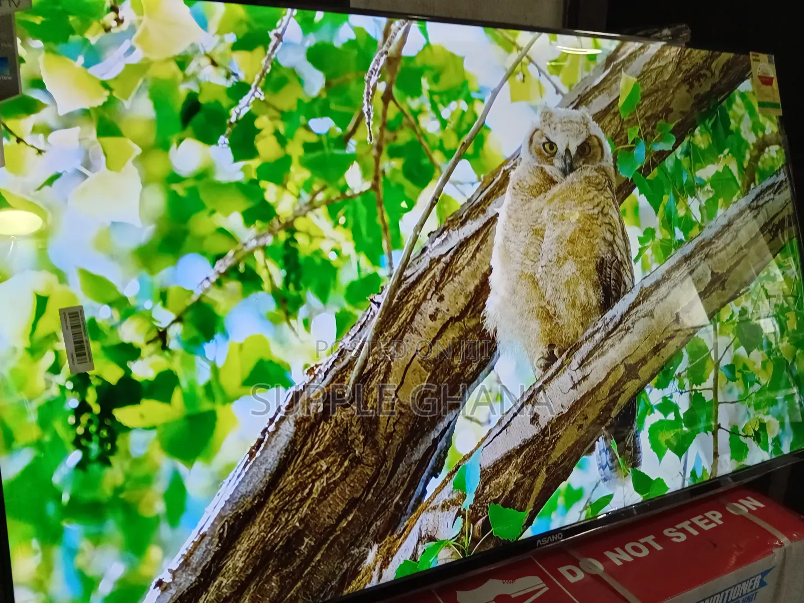 Asano 50-Inch Led Smart Tv – Entertainment Redefined