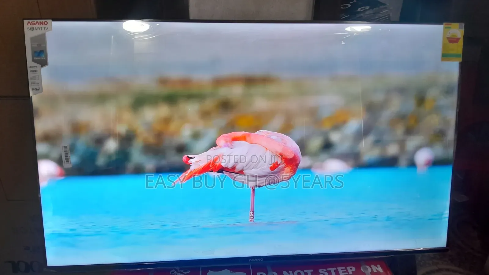 More Than a Tv – It’S Ansano 50” Experience