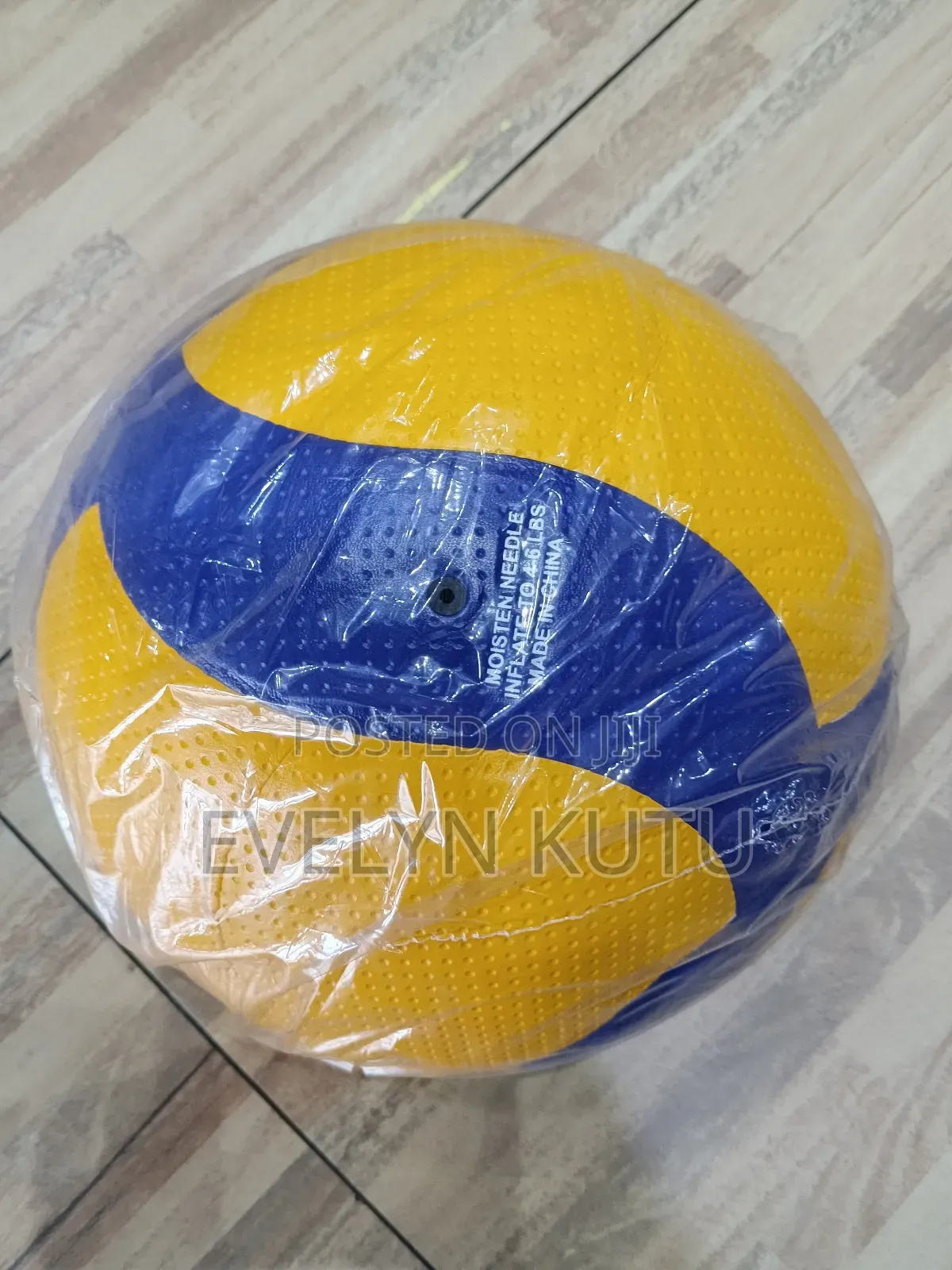 Mikasa Volleyball