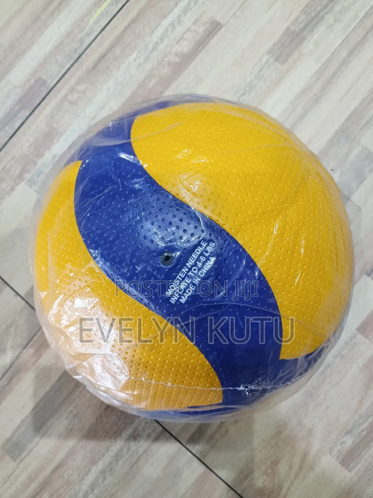 Mikasa Volleyball