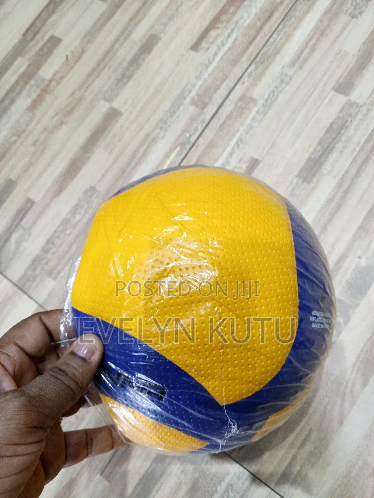 Mikasa Volleyball