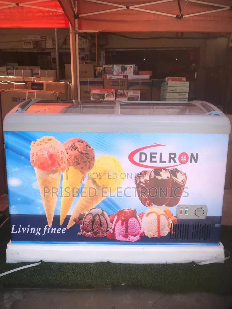 ^^Delron Ice Cream Freezer 258 Litres