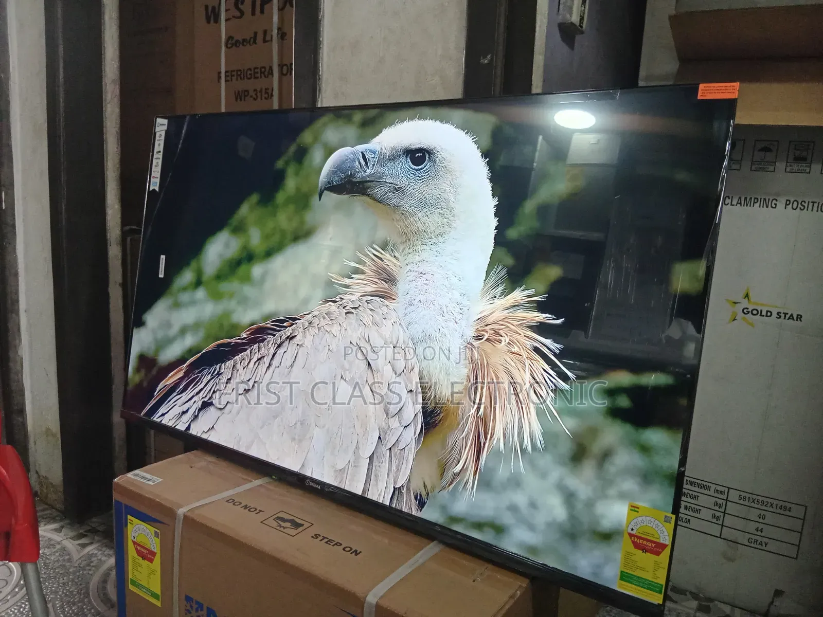 Sigma 55 Uhd Tv Charm, Tv That Wins Every Glance.