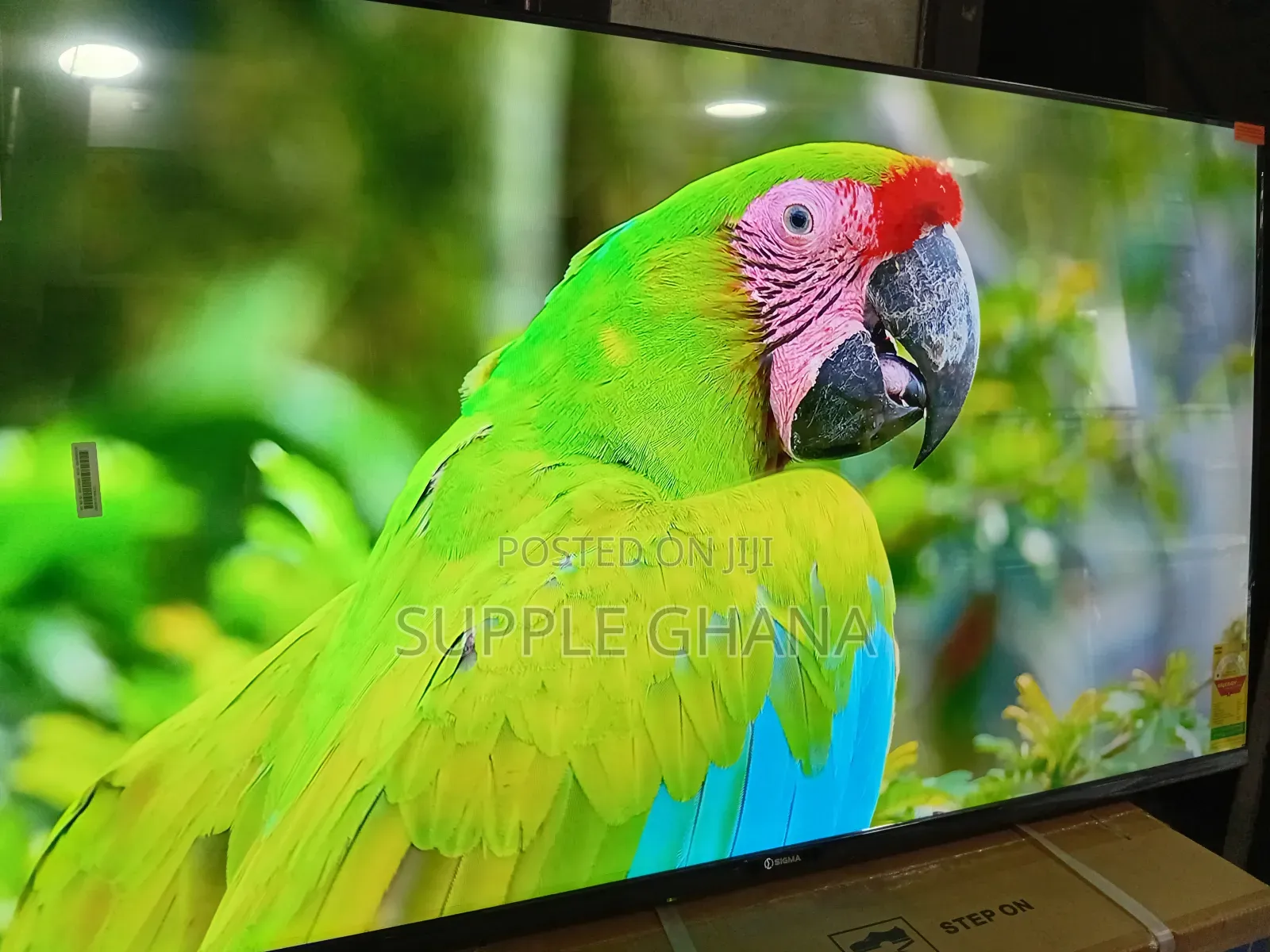 Sigma 55" Smart Television – Pure Visual Excellence