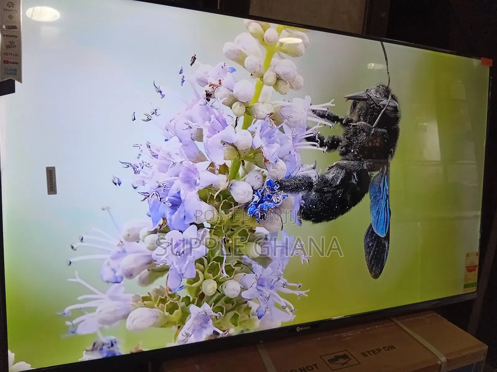 Sigma 55" Smart Television – Pure Visual Excellence