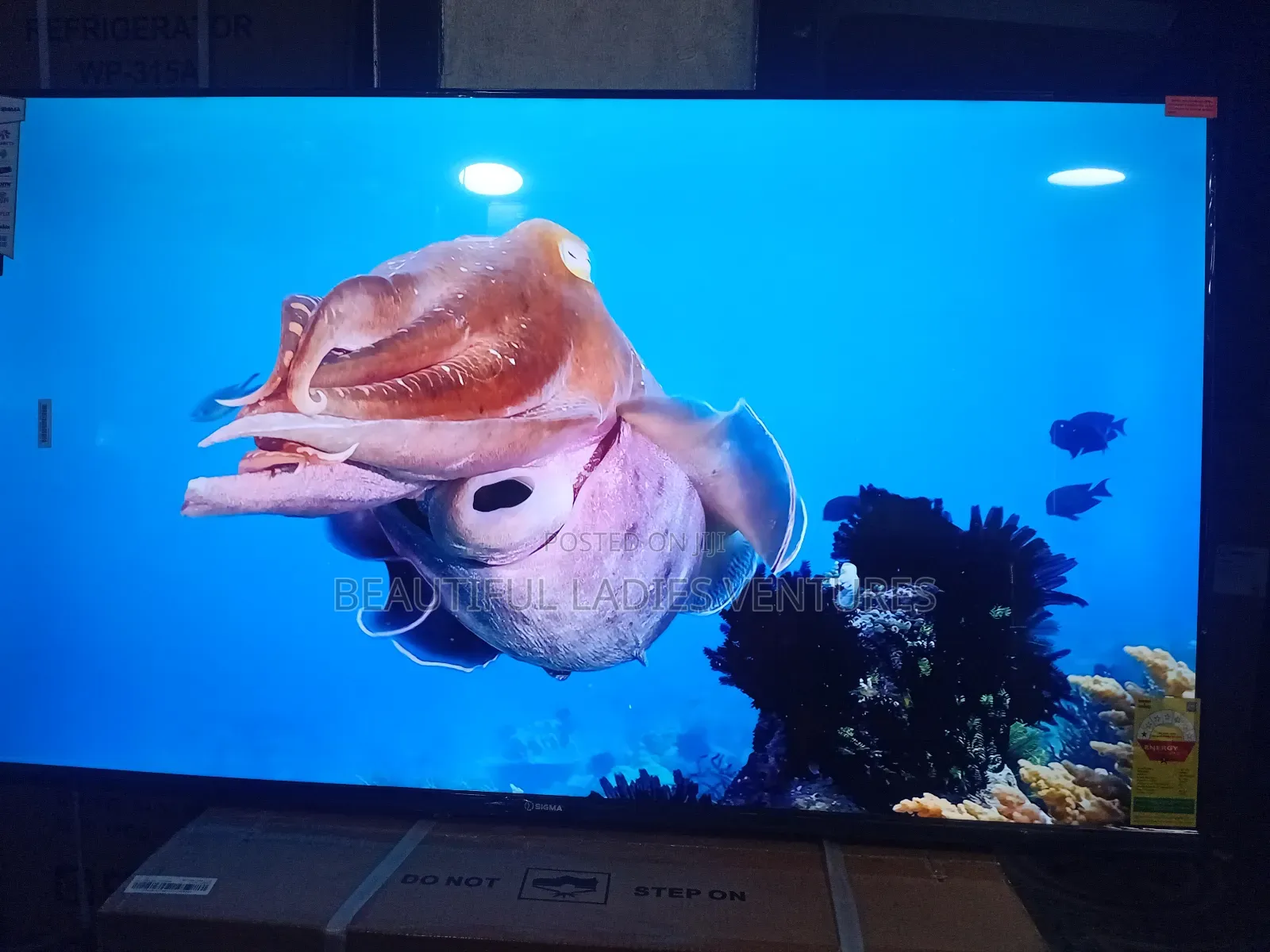 Sigma 55-Inch Led Tv – Smart Entertainment Redefined