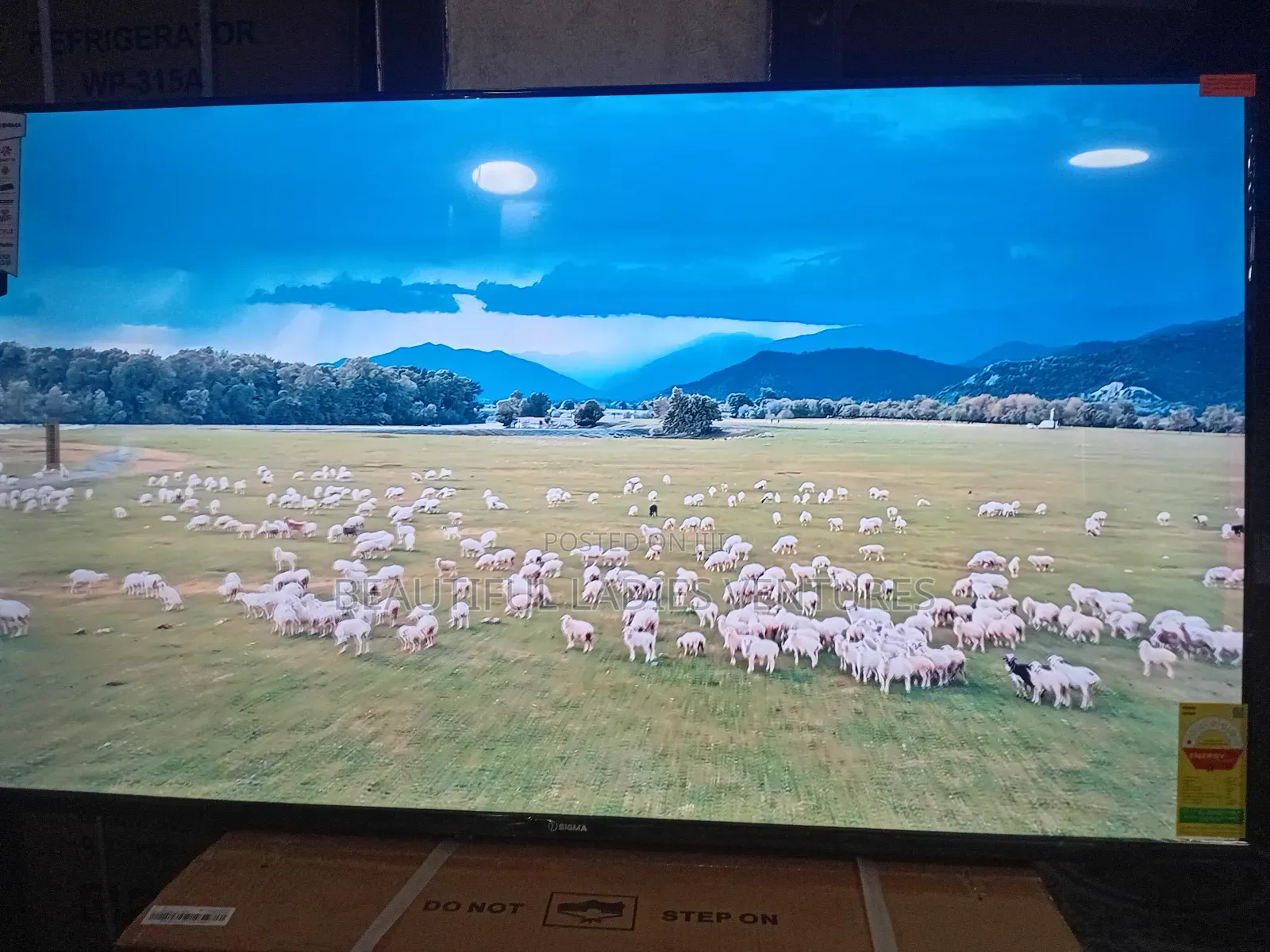 Sigma 55-Inch Smart Tv – Cinematic Home Experience