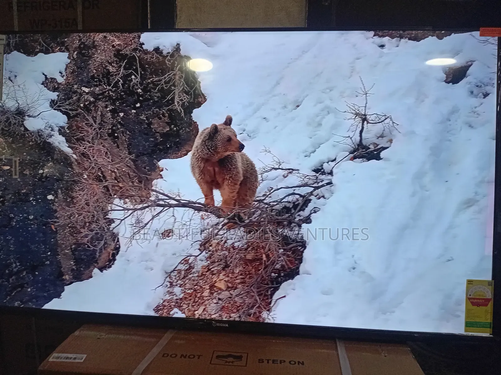 Sigma 55” Full Hd Tv – Sharp Vibrant Display