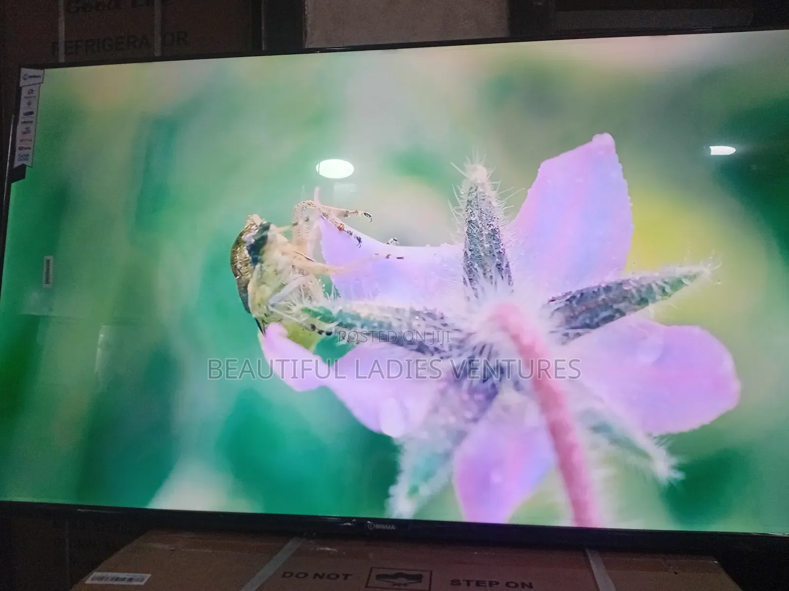 Sigma 55-Inch Tv – Premium Viewing Experience