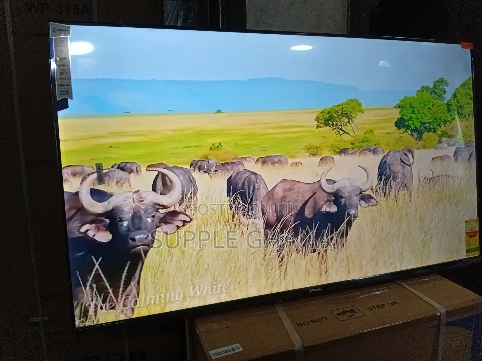Sigma 55-Inch Sigma Tv – Where Smart Meets Style