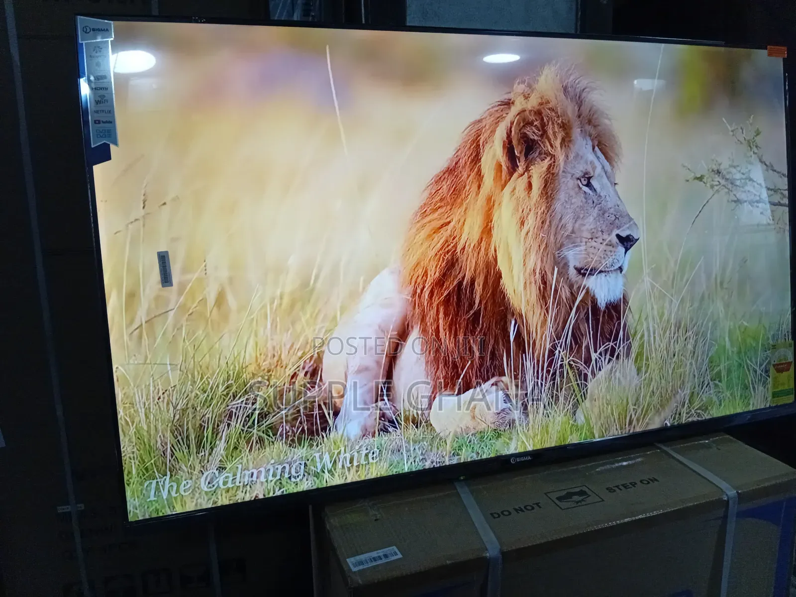 Sigma 55" Smart Television – Ultimate Viewing Comfort