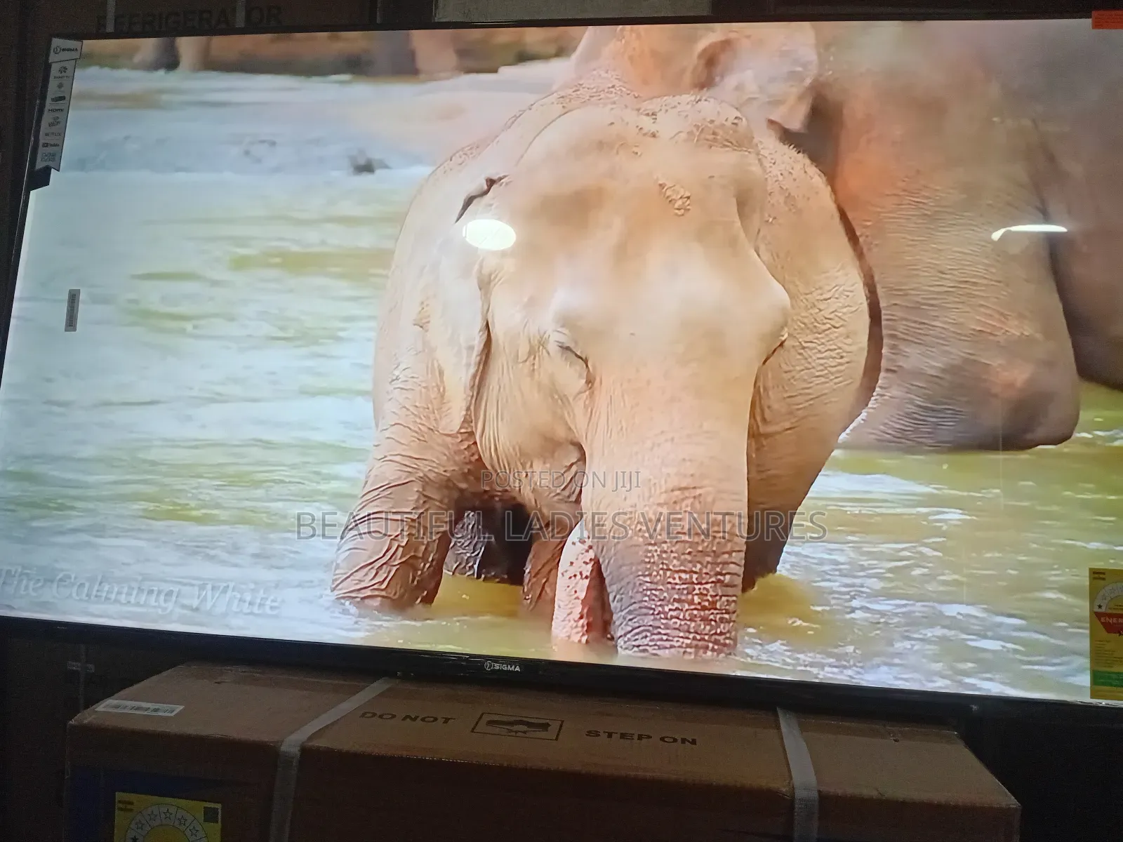 Sigma 55” Led Tv – Sharp Images, Rich Sound