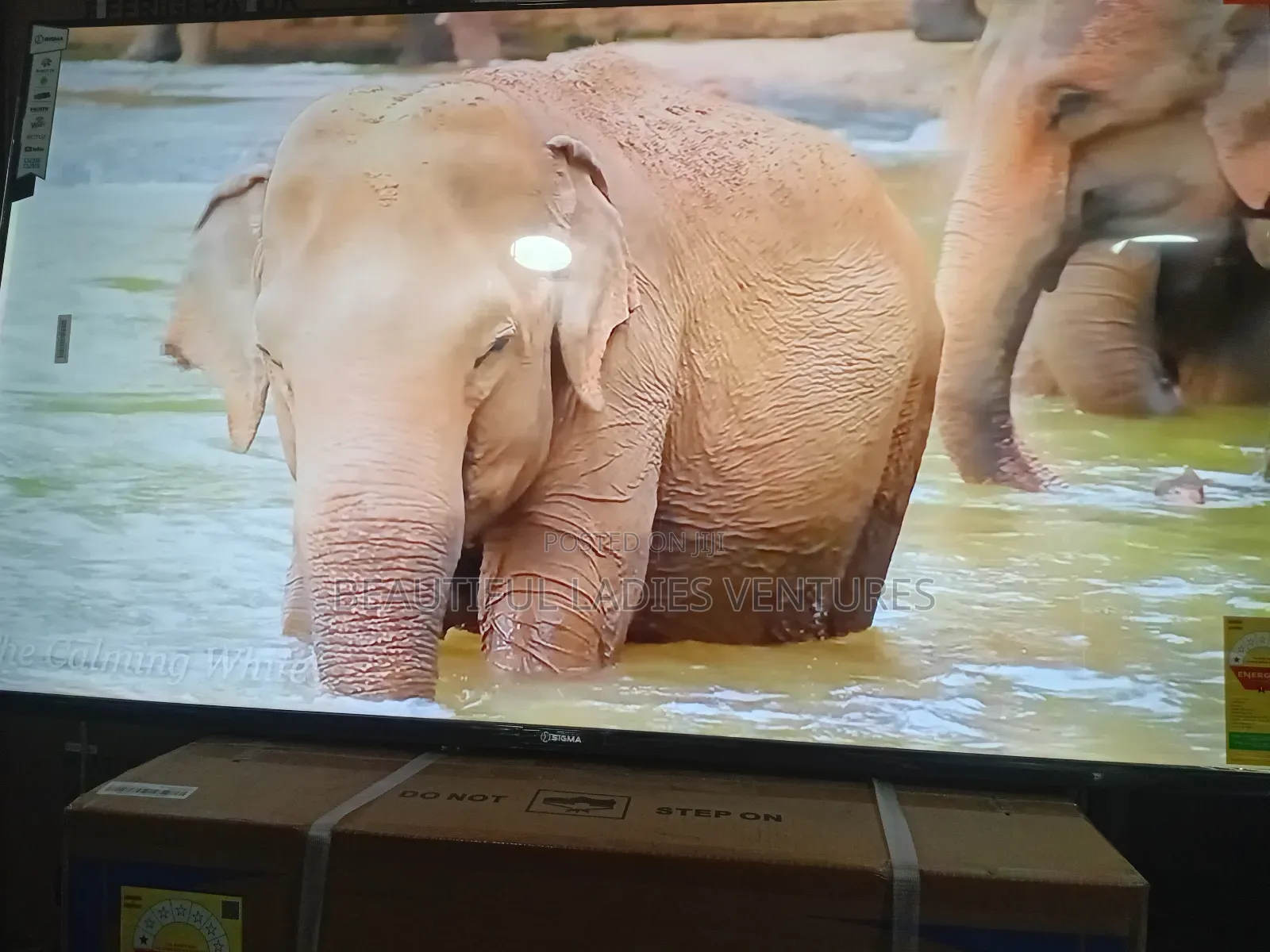 Sigma 55” Led Tv – Sharp Images, Rich Sound