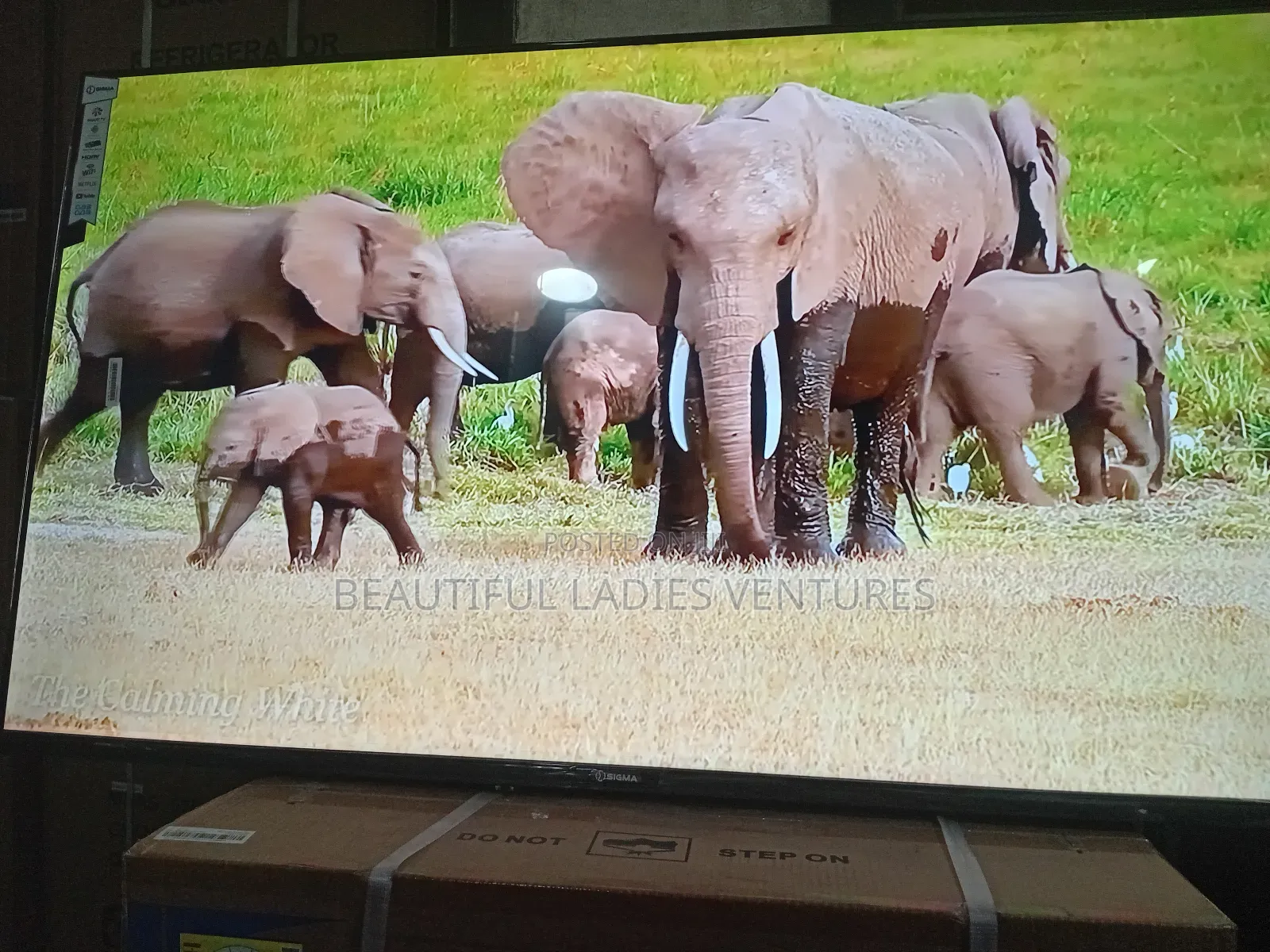 Sigma 55-Inch Smart Tv – Smart Living Made Easy