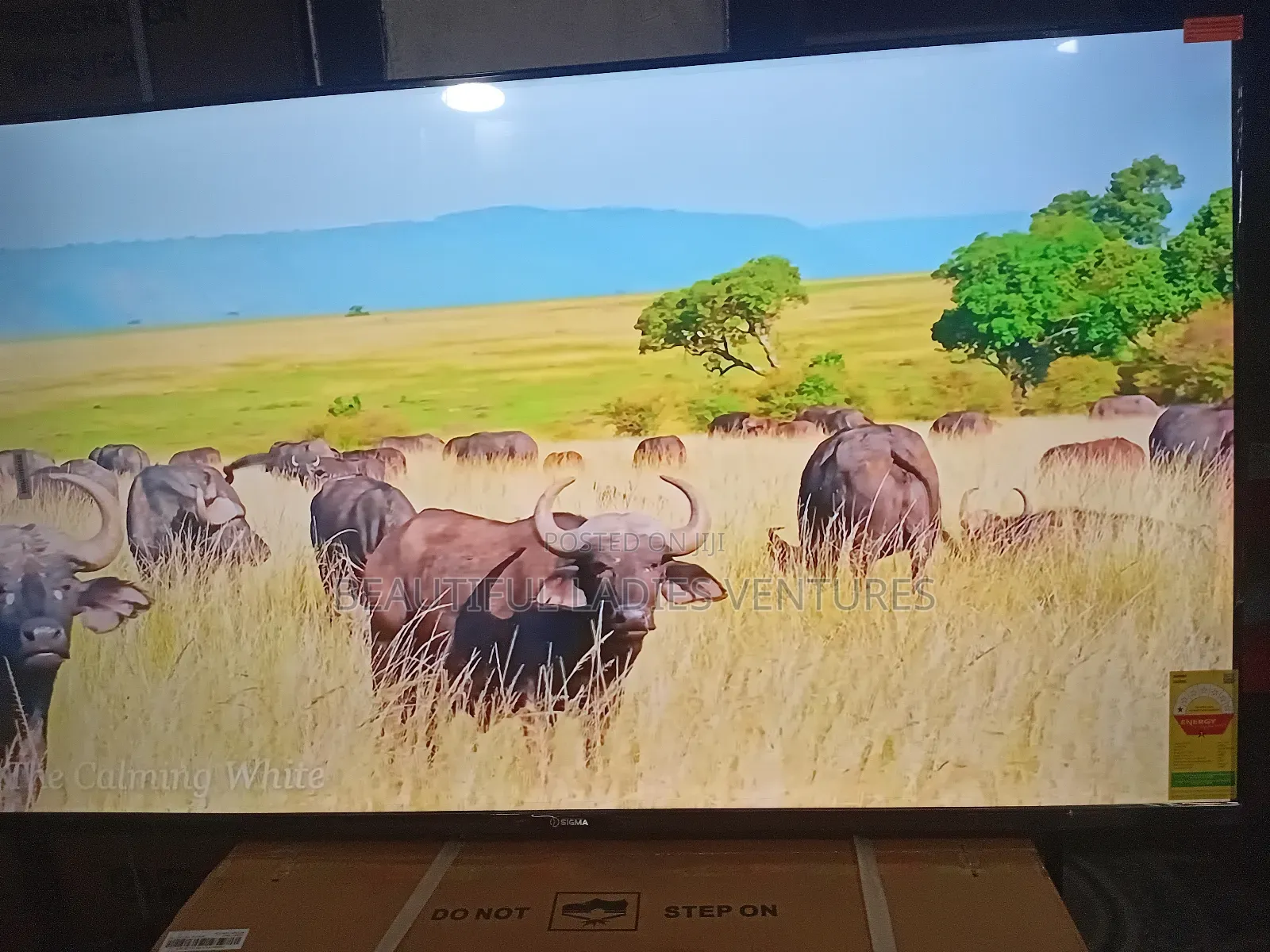Sigma 55-Inch Uhd Tv – Clear, Bright Bold