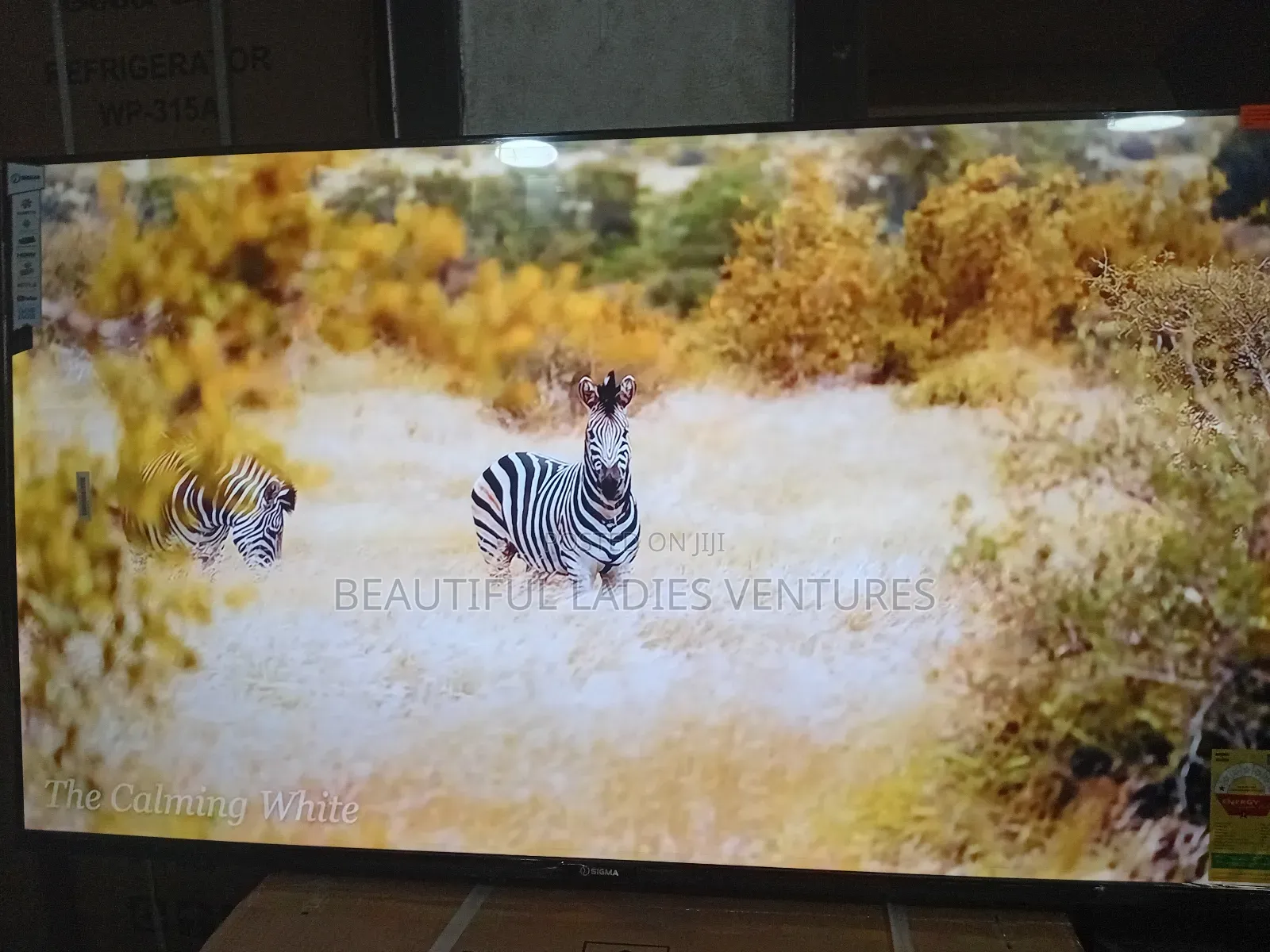 Sigma 55-Inch Uhd Tv – Clear, Bright Bold