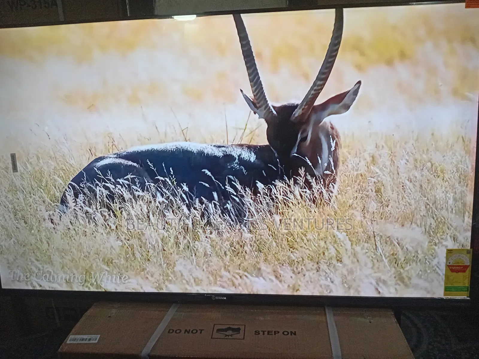 Sigma 55” Smart Tv – Perfect for Movies Sports