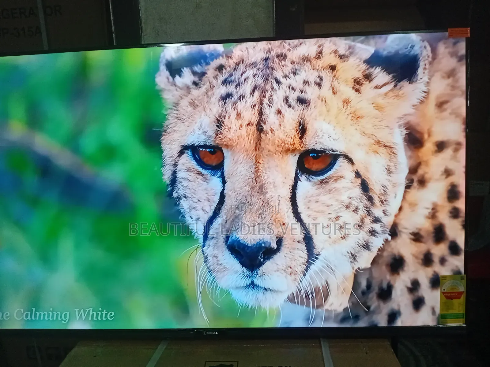 Sigma 55” Smart Tv – Perfect for Movies Sports
