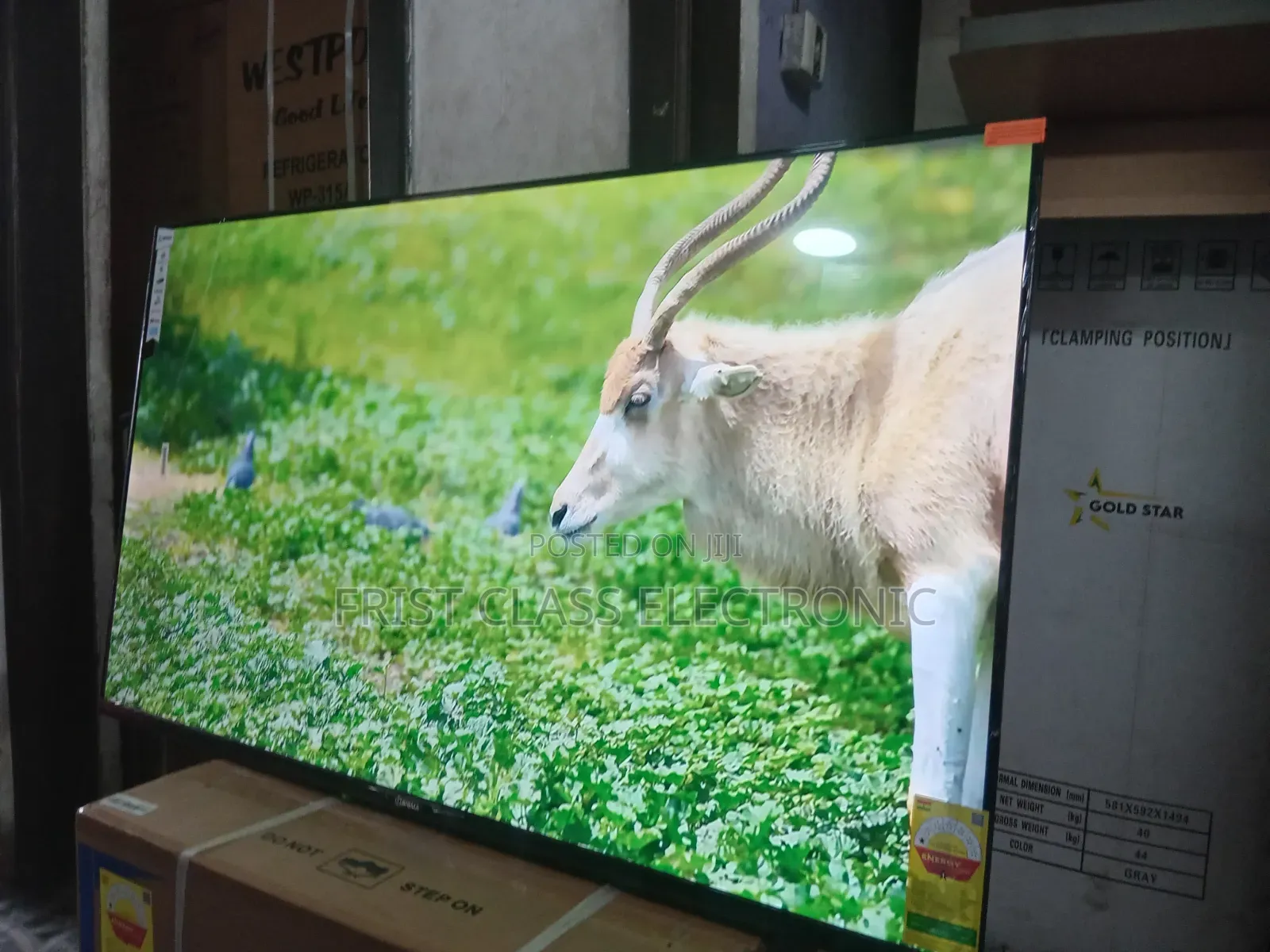 Sigma 55 Uhd Tv Edge, Tv That Stands Above Others.