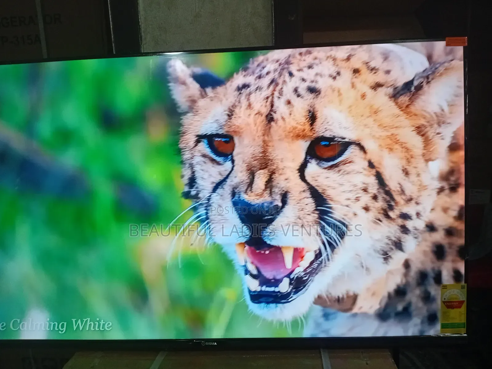 Sigma 55-Inch Led Tv – High Definition Clarity