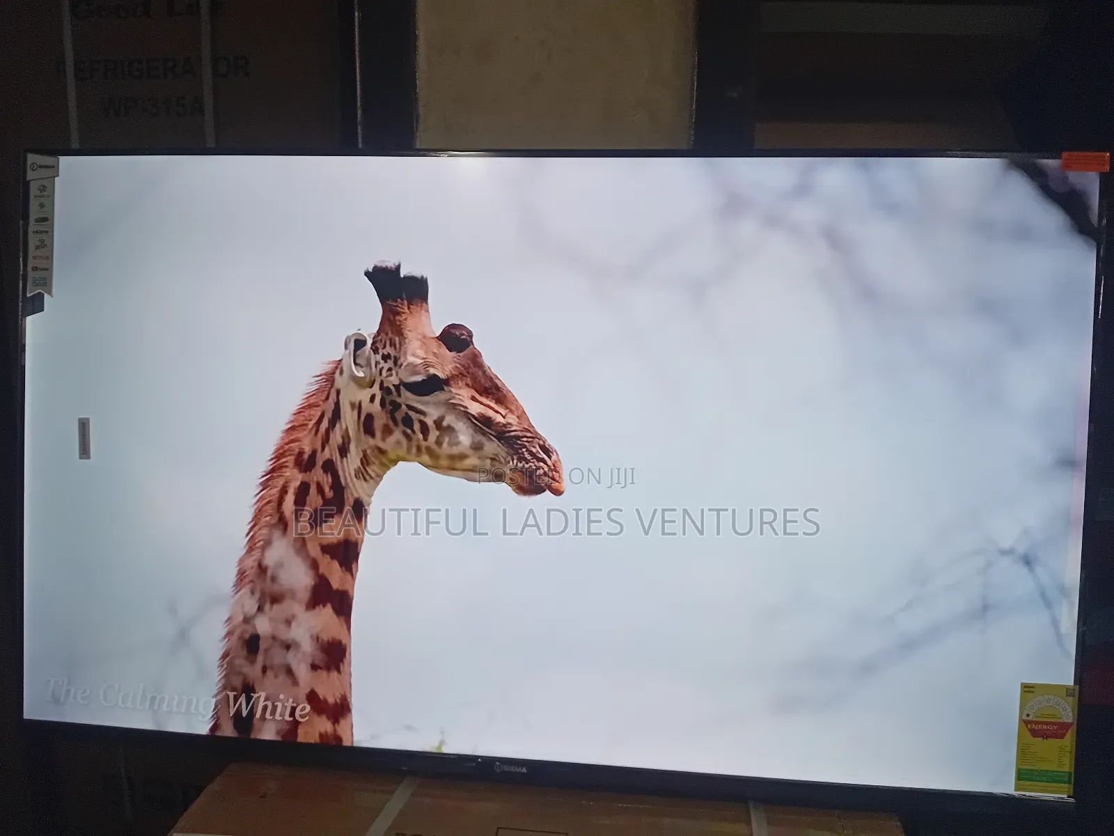 Sigma 55-Inch Led Tv – High Definition Clarity