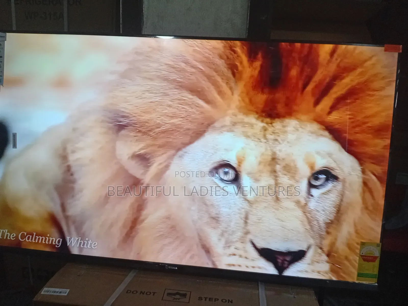 Sigma 55” Uhd Tv – Modern Home Essential