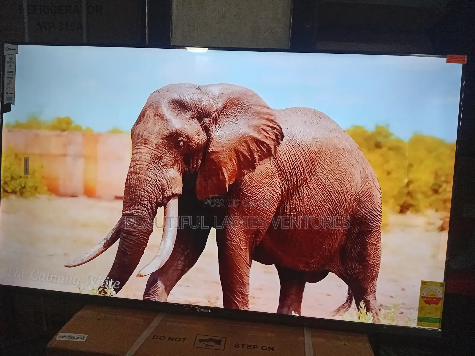 Sigma 55” Tv – Exceptional Picture Quality