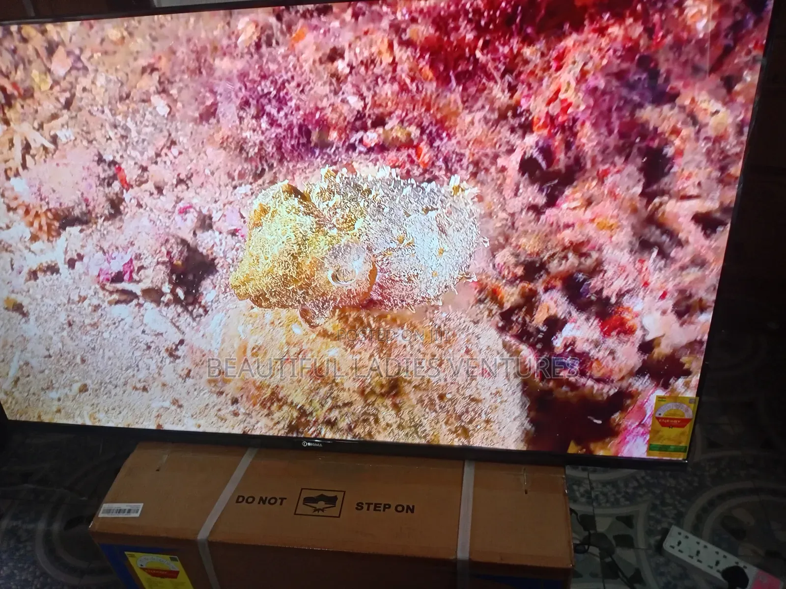 Sigma 55” Smart Tv – Big Screen Luxury