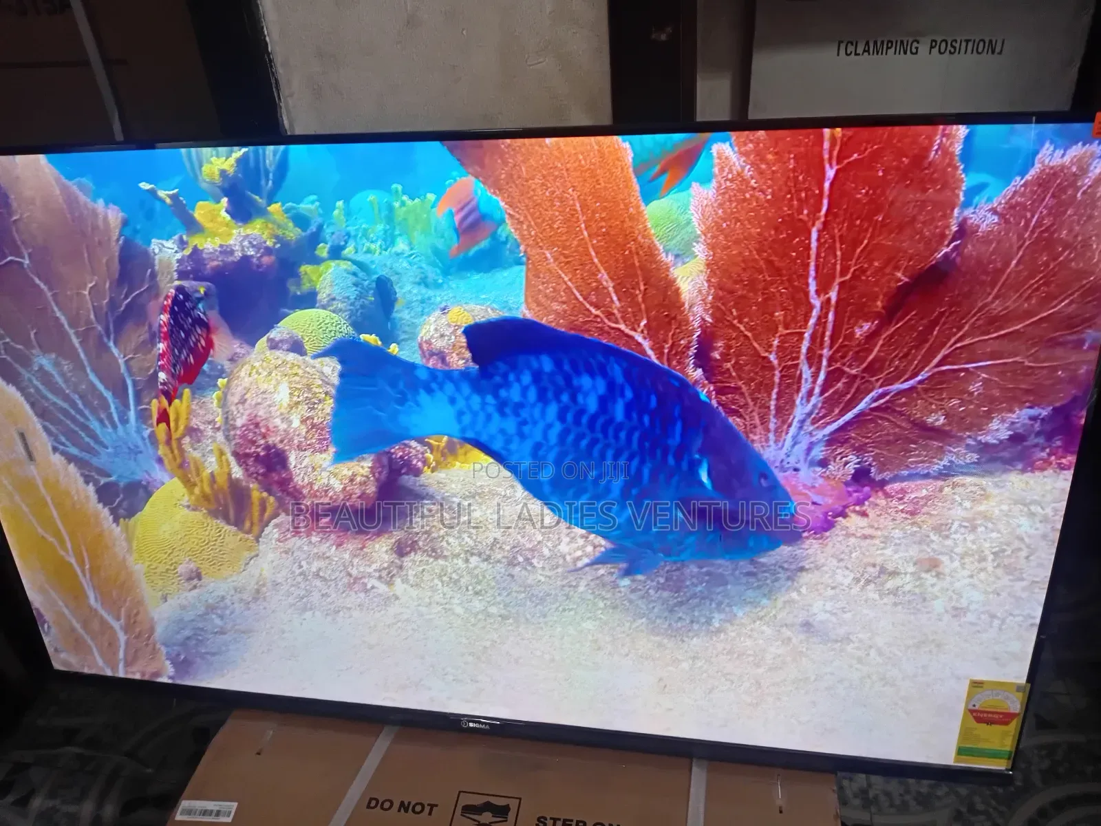 Sigma 55” Smart Tv – Big Screen Luxury