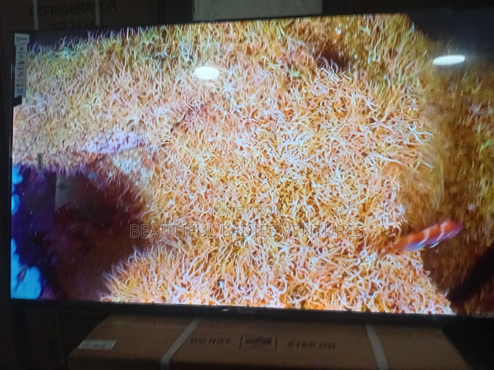 Sigma 55-Inch Tv – Enjoy Every Detail