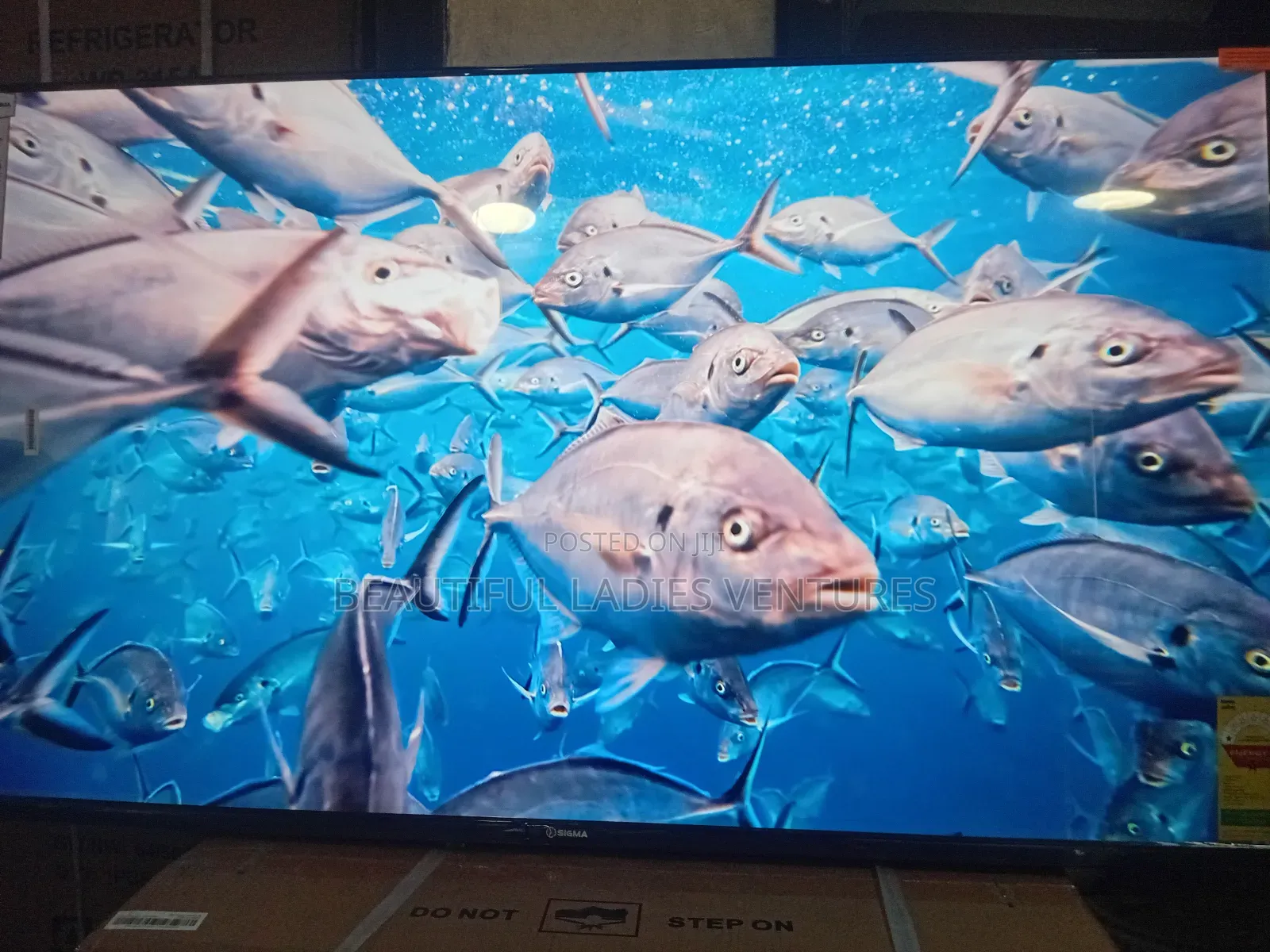 Sigma 55-Inch Tv – Enjoy Every Detail