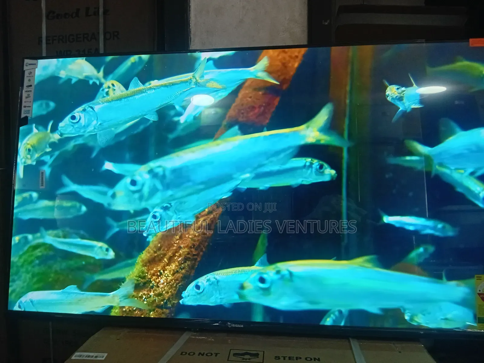 Sigma 55-Inch Smart Tv – Ultimate Home Entertainment