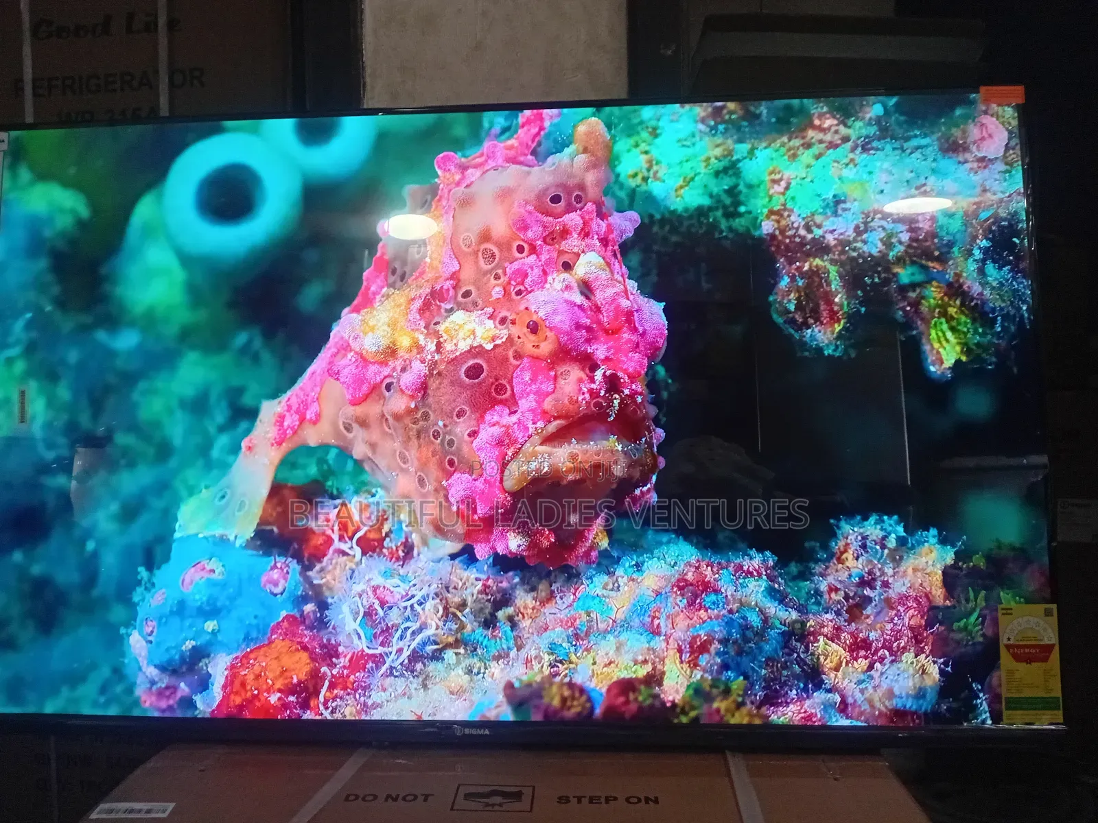 Sigma 55” Tv – High Quality, Affordable Luxury