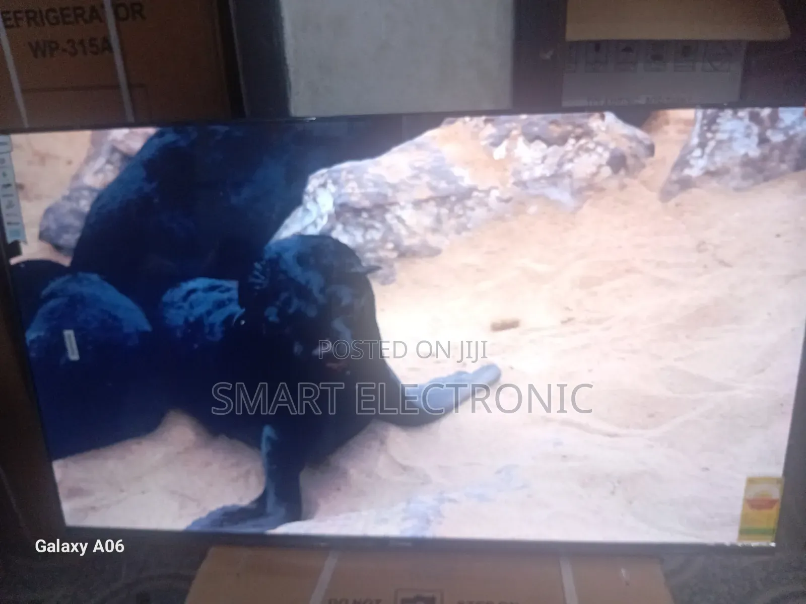 Sigma 55" Led Smart Tv – Modern Home Essential