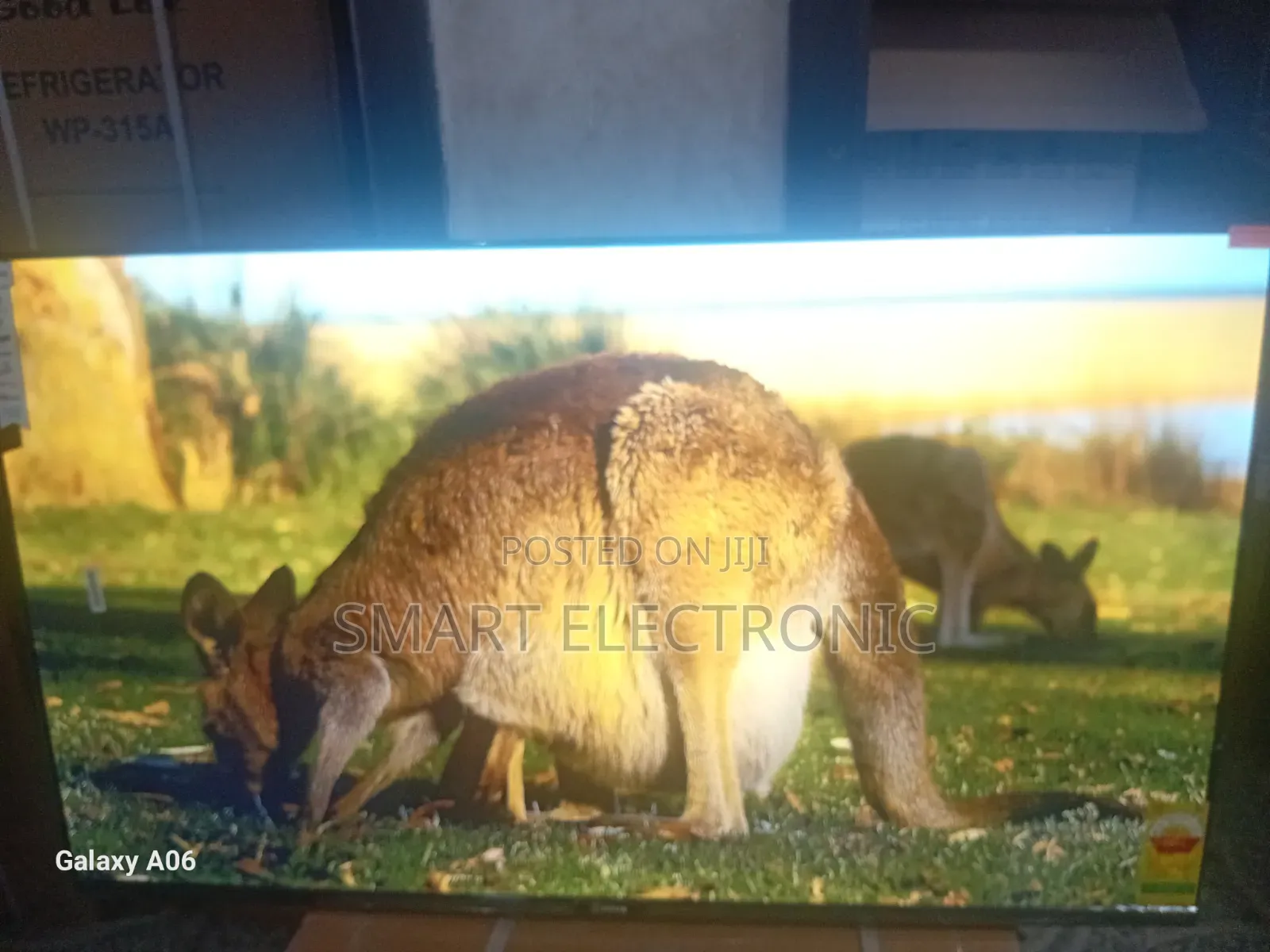 Sigma 55" Smart Tv – Smart Features, Smooth Performance