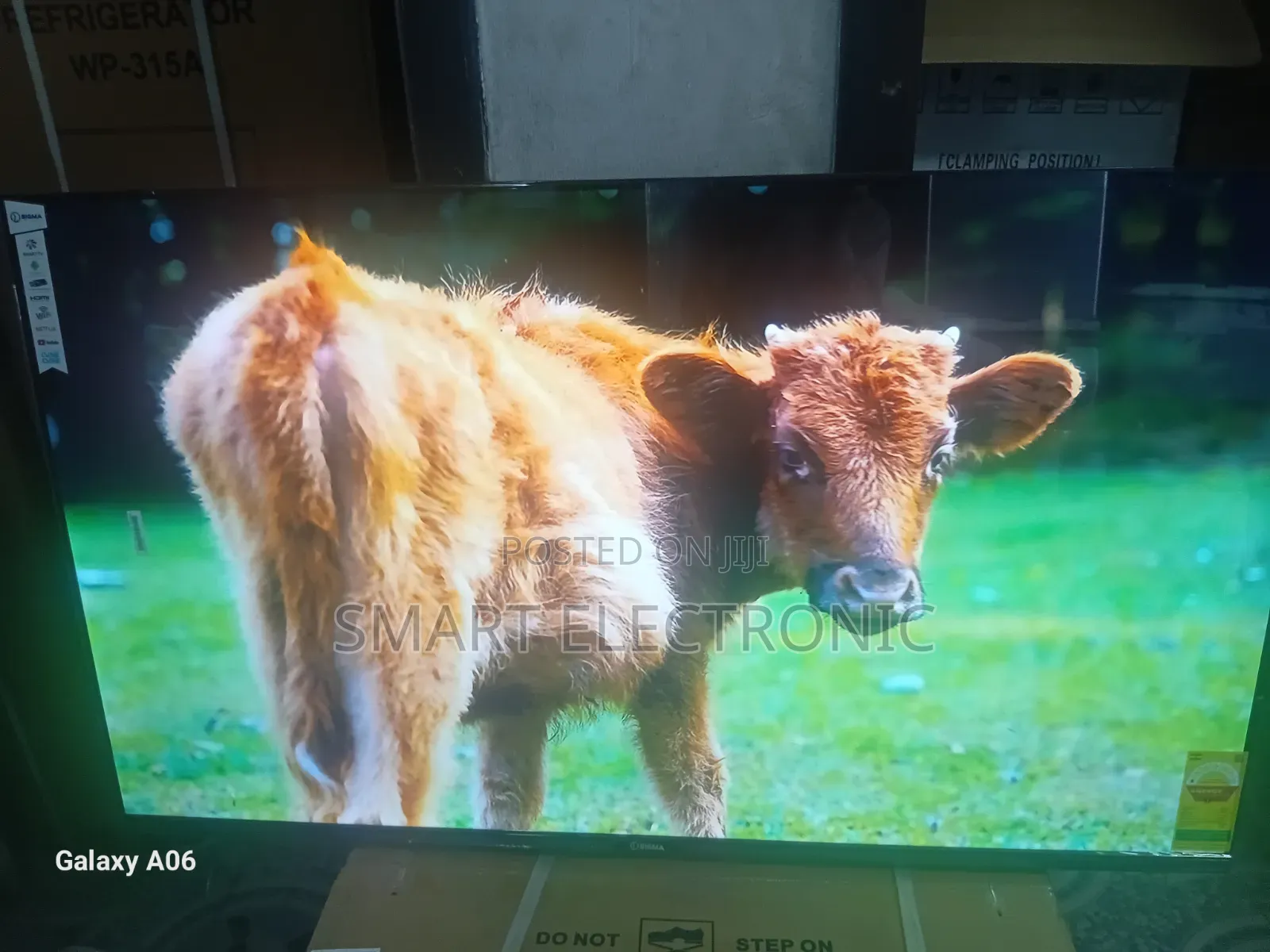 Sigma 55" Smart Tv – Premium Viewing Experience
