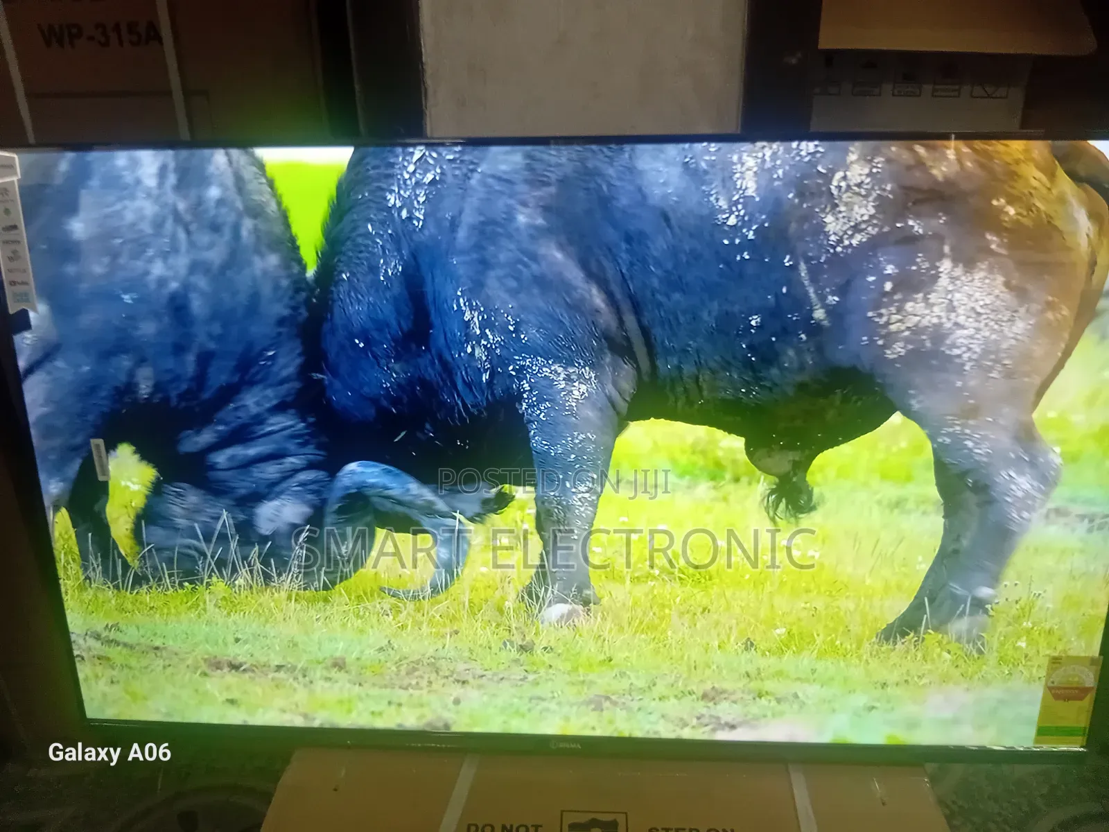 Sigma 55" Smart Tv – Sleek Design, Smart Performance
