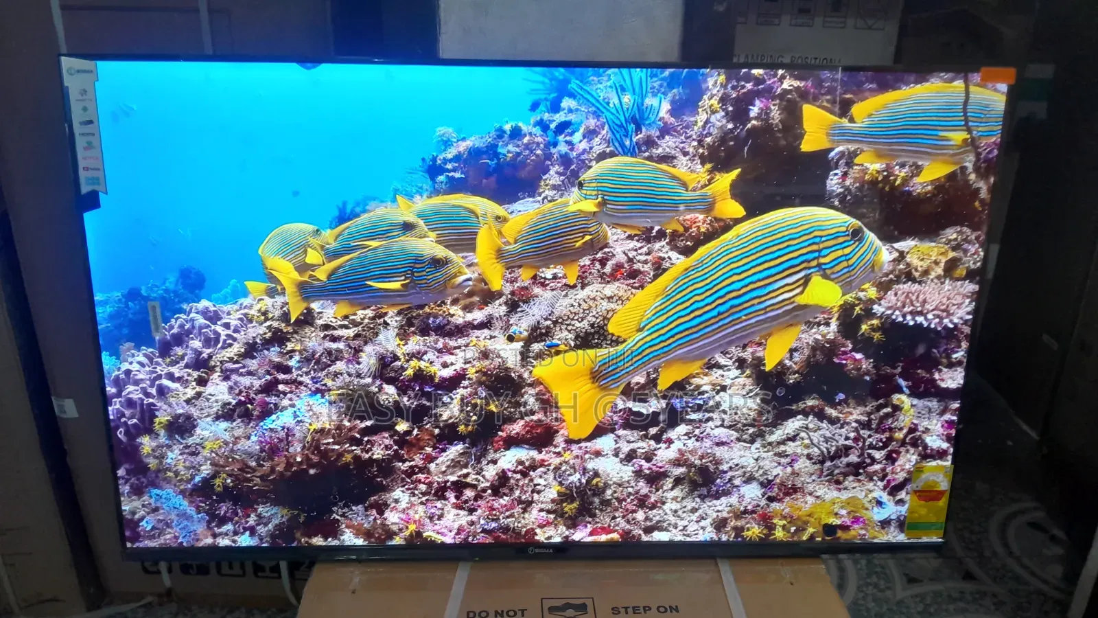 Sigma 55-Inch Uhd Tv – Premium Viewing at a Great Price