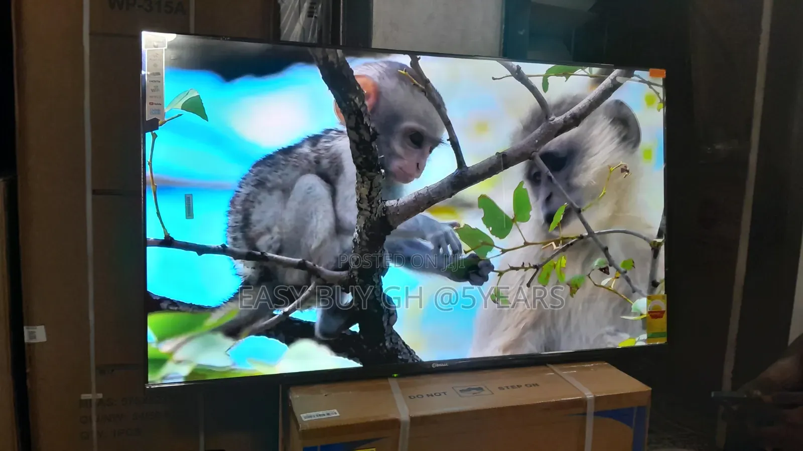 Sigma 55” Led Smart Tv – Big Screen Entertainment at Its Best