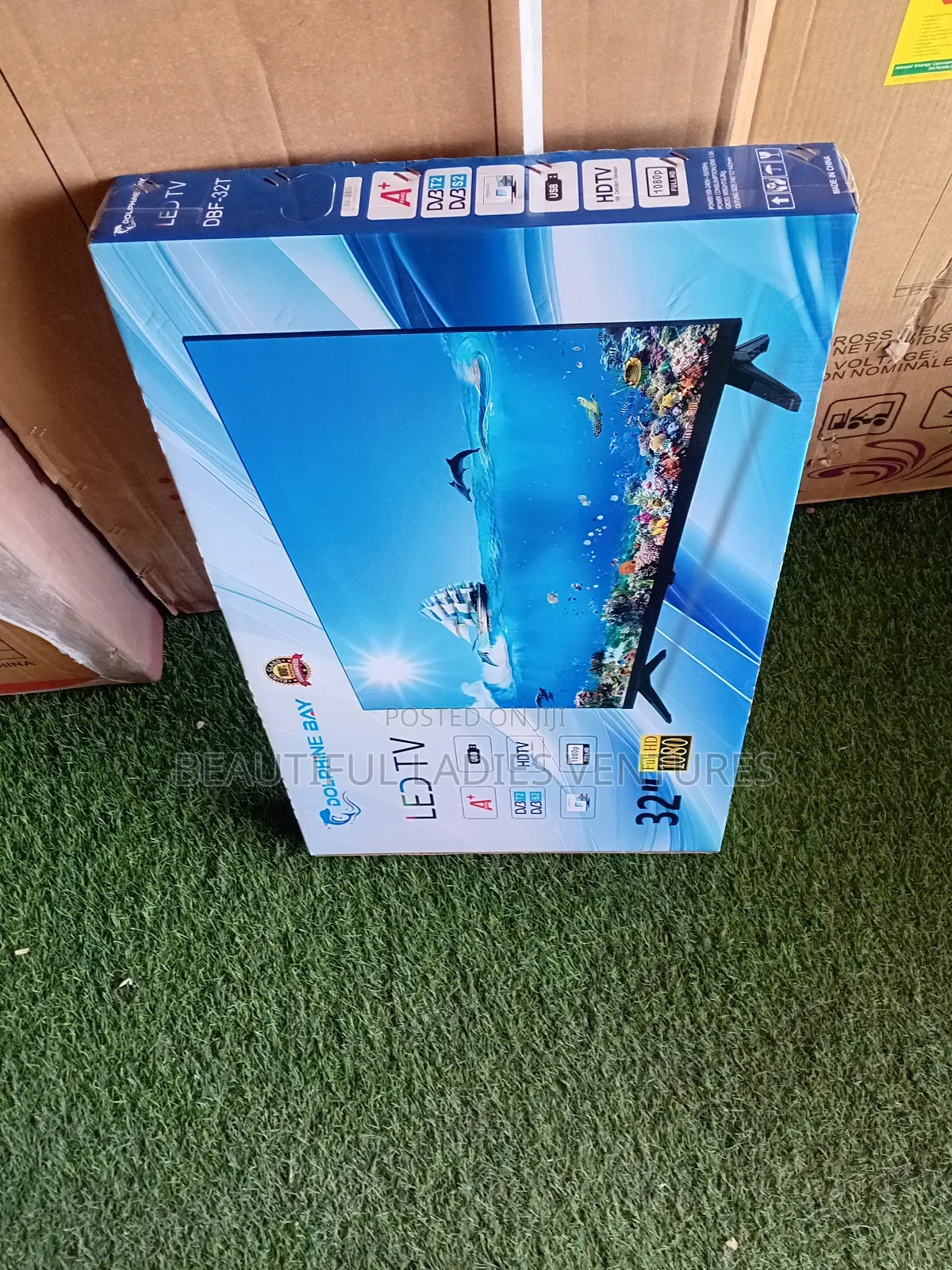 Dolphine Bay 32-Inch Smart Tv – Crystal Clear Entertainment