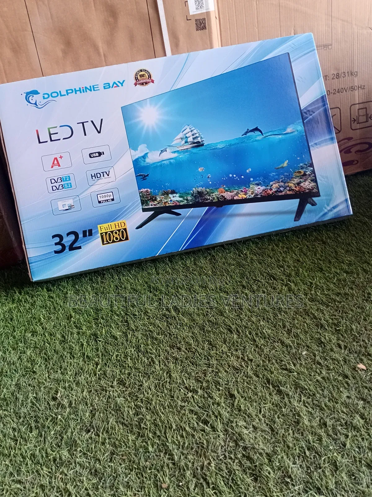 Dolphine Bay 32-Inch Smart Tv – Crystal Clear Entertainment