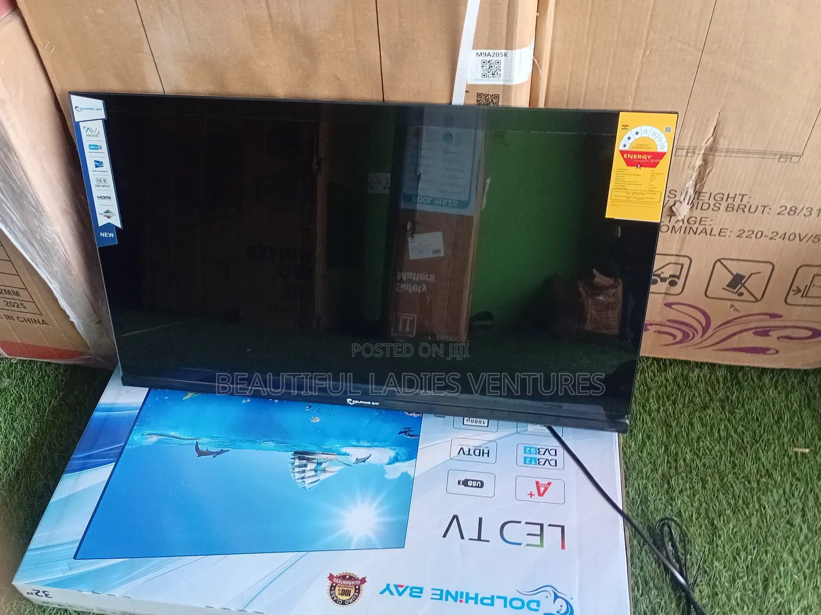 Dolphine Bay 32-Inch Television – Clear Vision, Smart Choice
