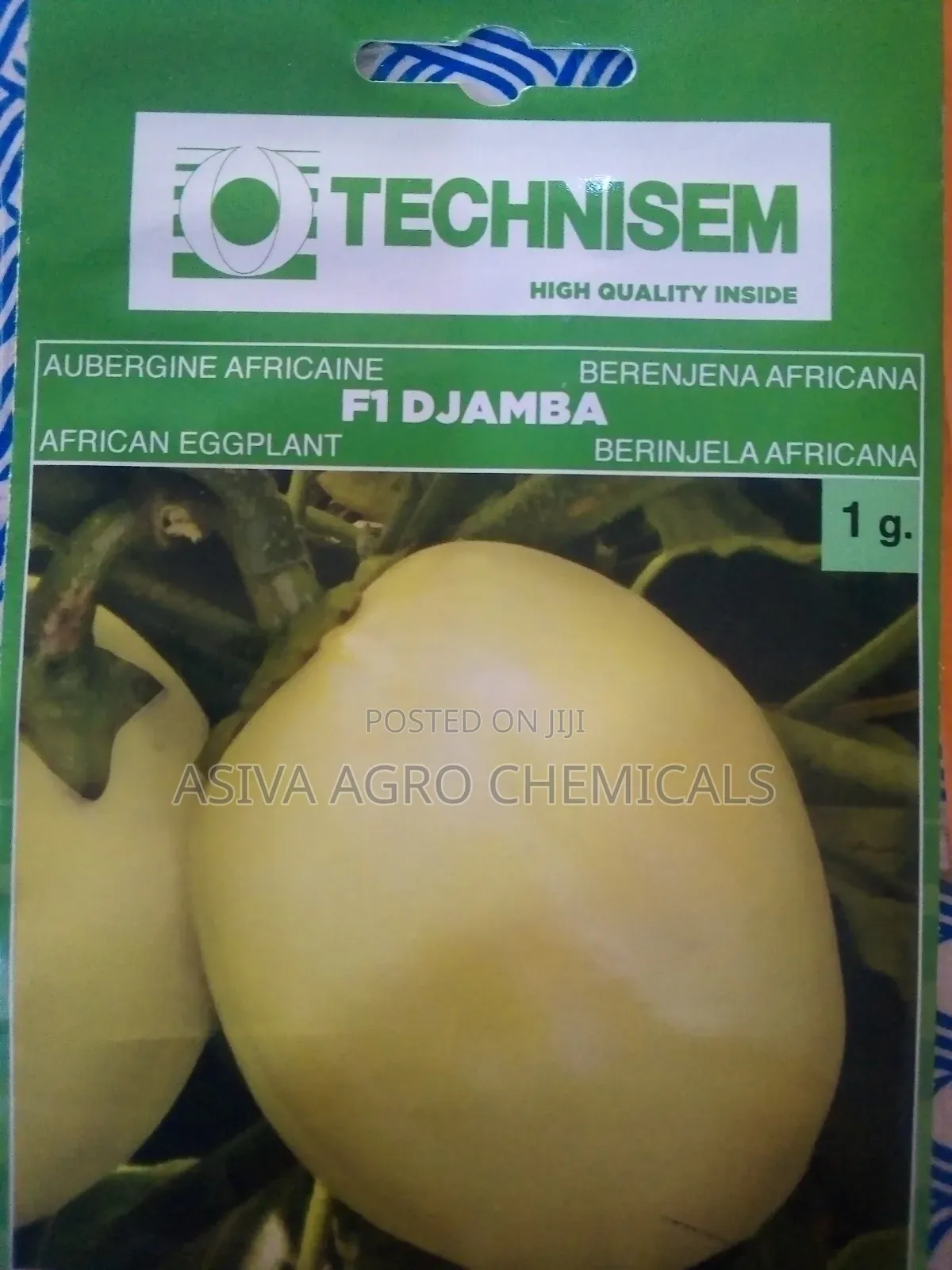 Garden Eggs Seeds
