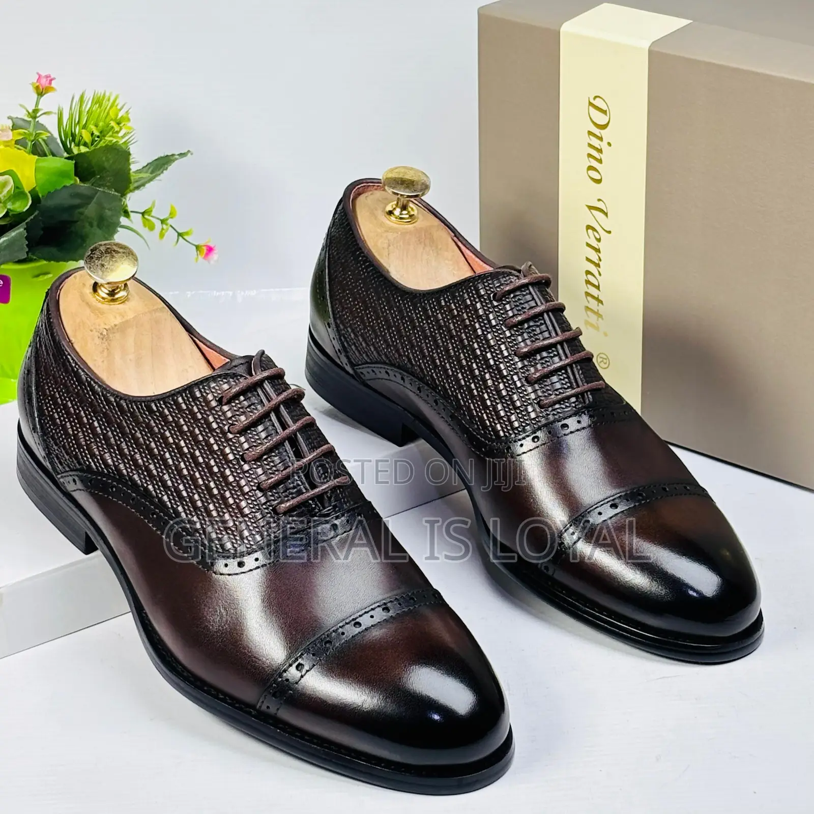 Dinno Verratti Men Brown/ Chocolate Office Shoe