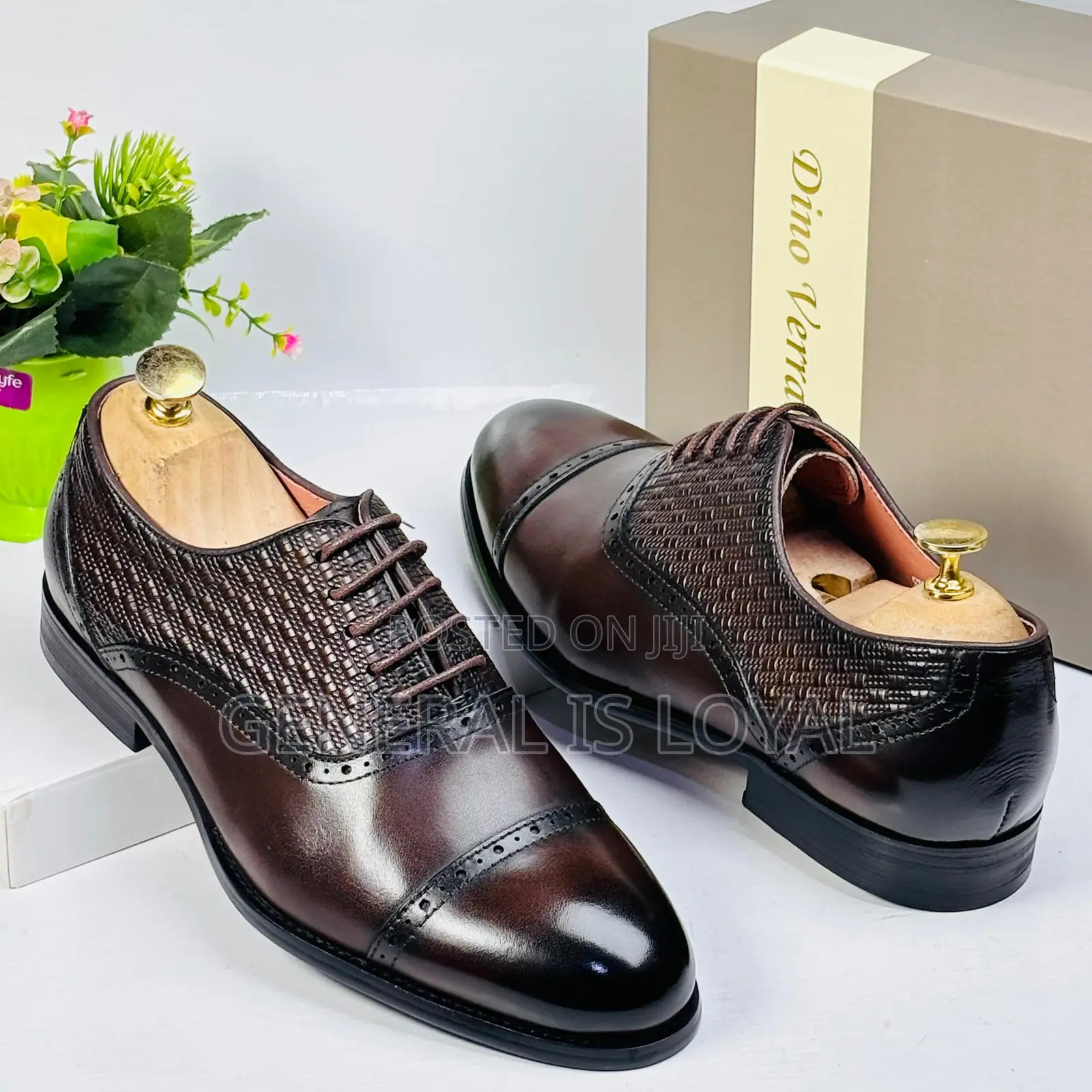 Dinno Verratti Men Brown/ Chocolate Office Shoe