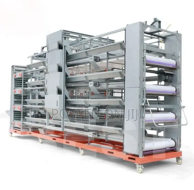 H Type Chicken Cage System