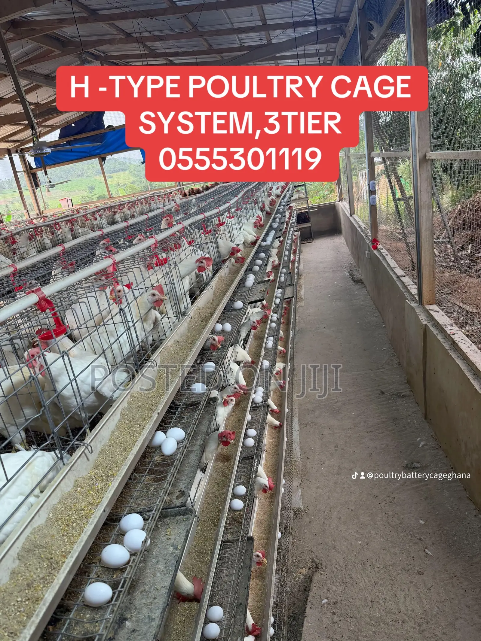 H Type Chicken Cage System